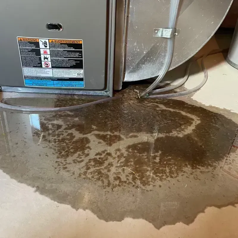 Appliance Leak Cleanup in Taylorville, IL